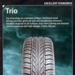 Marangoni - Anvelopa Trio