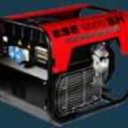 Curatenie  - Generatoare - ESE14000TH-E/A - Generator cu automatizare