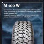 Curatenie  - Anvelope autoturisme - Anvelopa M 100 W