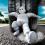 anvelopele michelin franeaza pe o distanta mai scurta
